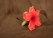 bronze-flower-5