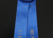 NWFA Art Sculpture 2010 - 1st Place