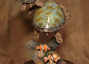bronze-turtle-8