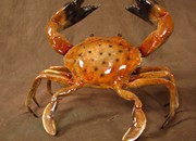 bronze-wildlife-statues-2