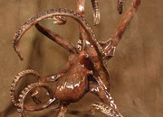 bronze-wildlife-statues-9